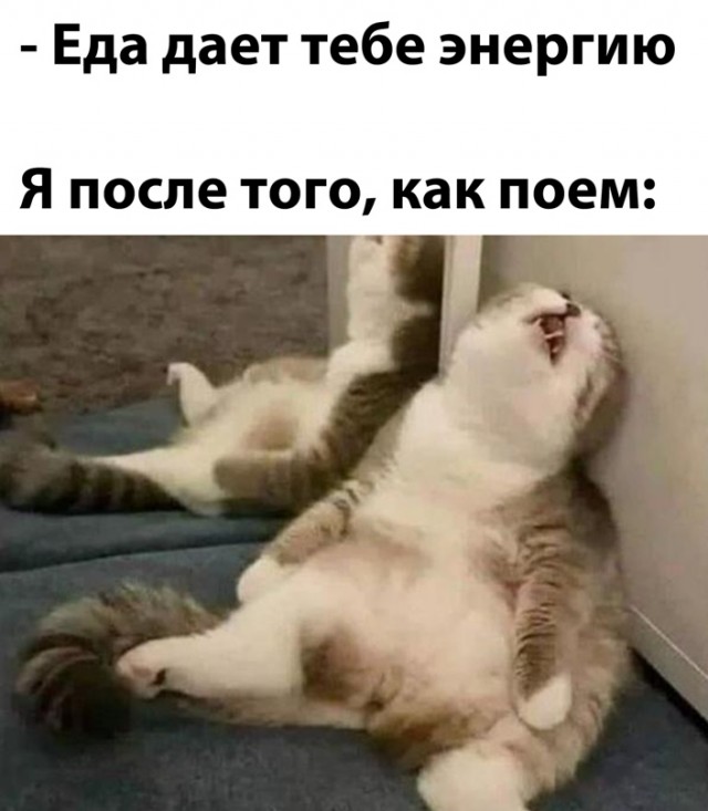 Весёлый полтишок 19.03