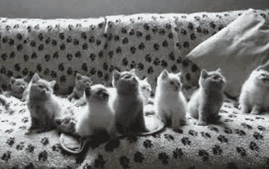 Мужики дерутся за сиськи! Жесть.