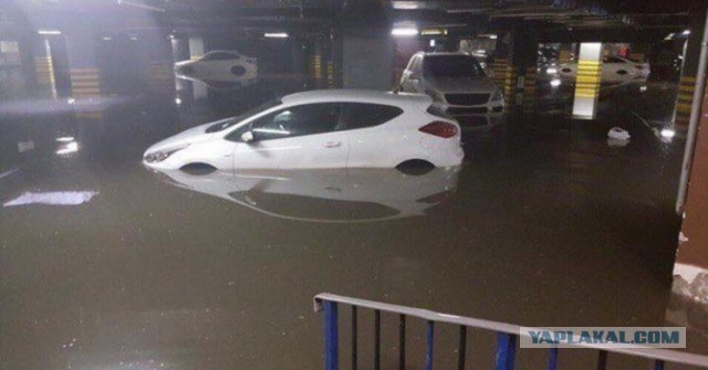 Мы все утонем! Москва, Горбушка сейчас