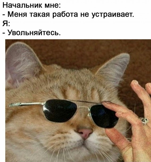 15 картинок сарказма