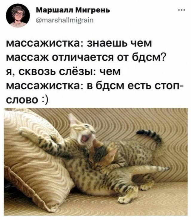 Так себе картинки 03.09.21