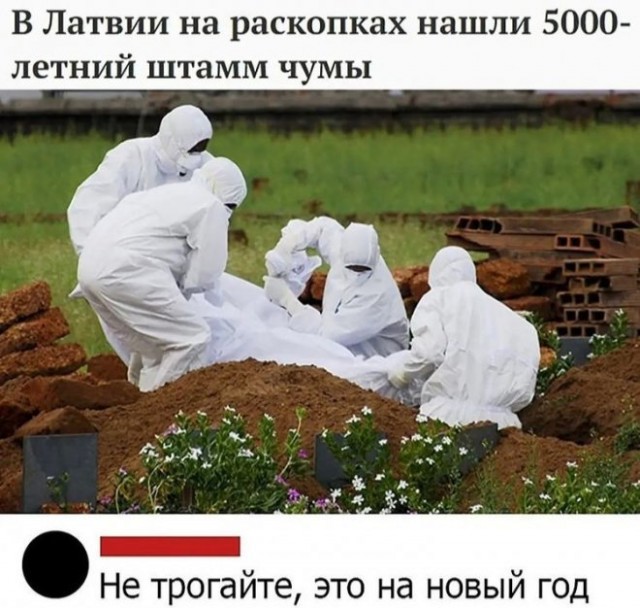 Картинки и мемы для настроения 21.09.2021