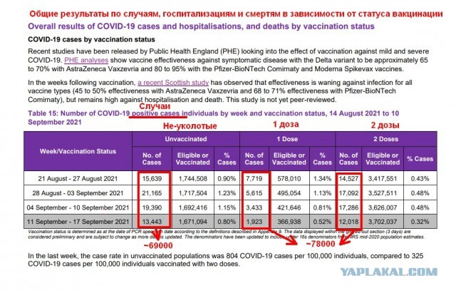 Ученые сравнили смертность от коронавируса у привитых и непривитых