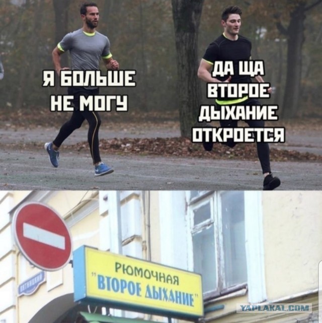 Расскажу-ка я вам про инфаркт