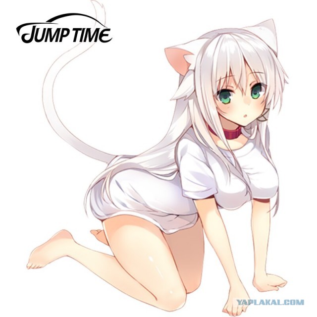 Сиськи в котовторник