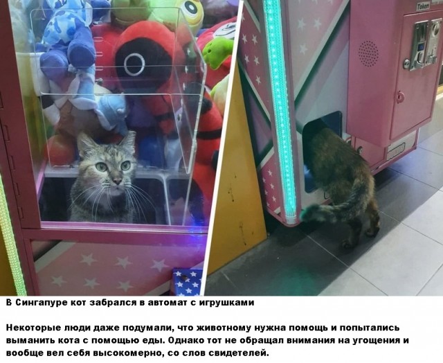 40 картинок разных 26.05.2022