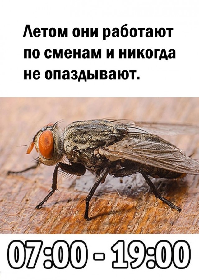 Так себе картинки 05.06.22