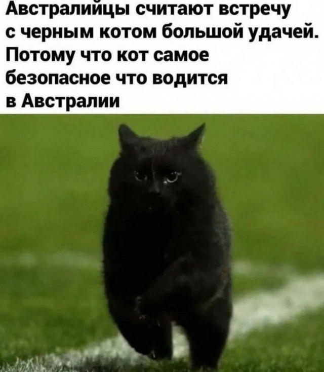50 оттенков серого. Vol 16. Или самосвал баянов