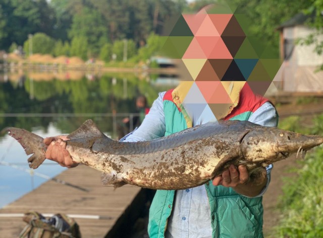 Господа, хвастаемся свежими трофеями с рыбалки