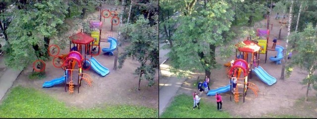 Массовое отравление собак в московском Бутове