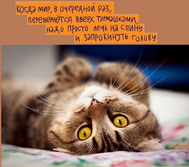 Картинки со смыслом