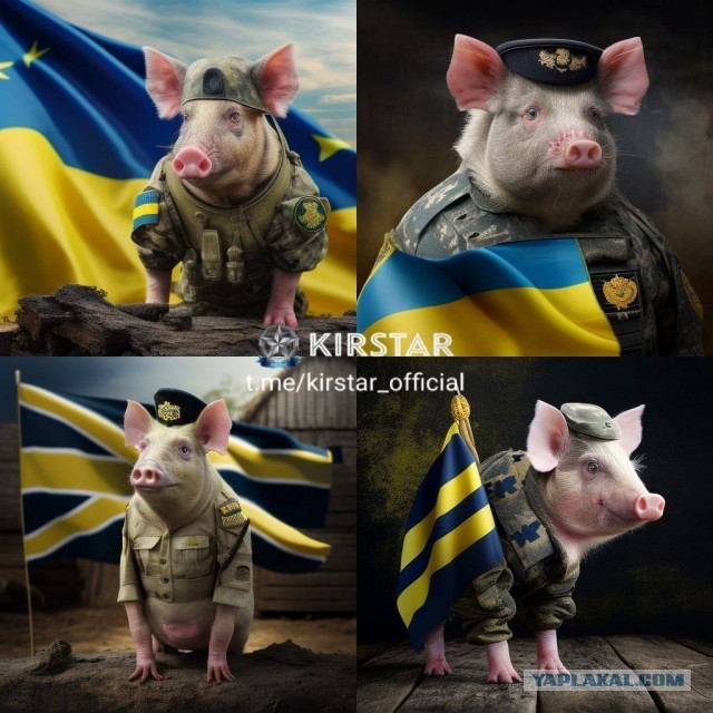 Урок для украинских СМИ: не всё желто-голубое означает поддержку Украины.