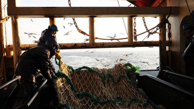 МИД объяснил нежелание РФ консультироваться с Японией по промыслу ресурсов у Курил