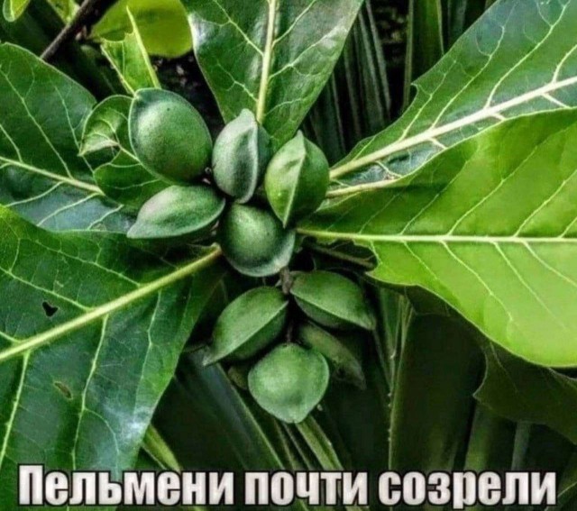 Картинки на пятницу