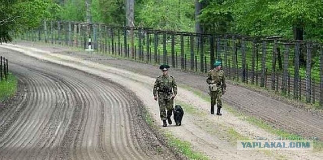 Финляндия начала строительство забора на своей границе с Россией - BBC News