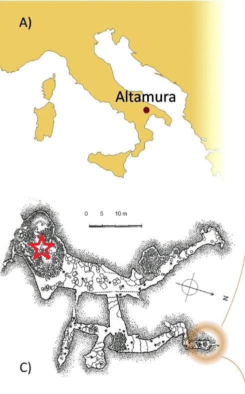 Загадка человека из Альтамуры
