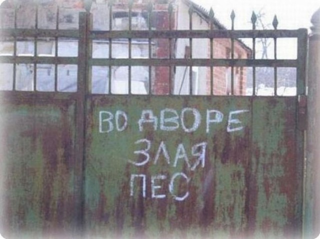 Картинки и мемы для настроения - 131