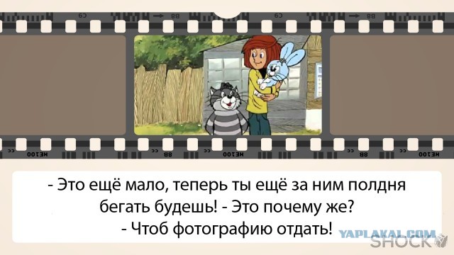 Снежный леопард гонится за горным козлом прямо по вертикальному обрыву