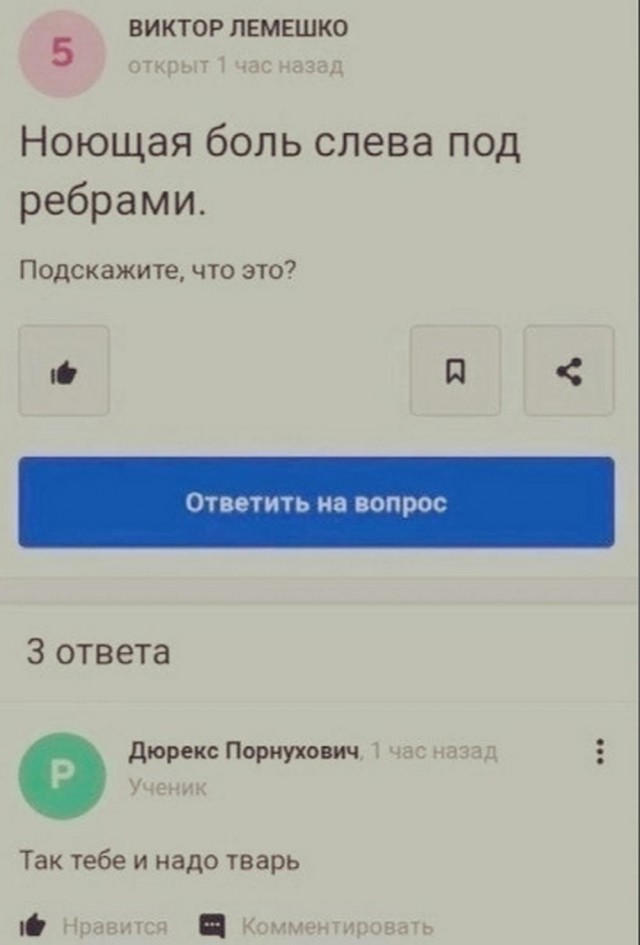 Нуштош 14.04.2023