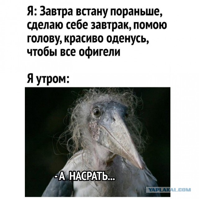 Вопрос к женщинам. Профессия мужа важна для жён? Или важнее его доходы?