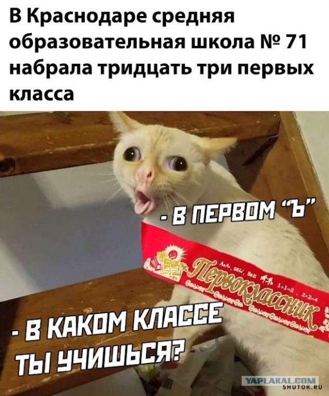 В российской школе набрали 31 первый класс в Самарской области