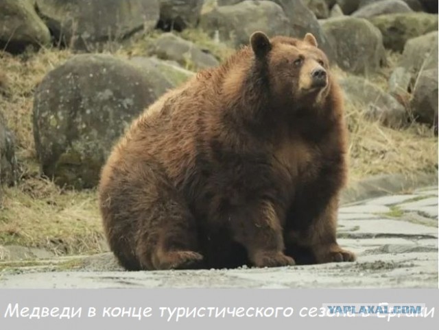Об Ергаках пост..
