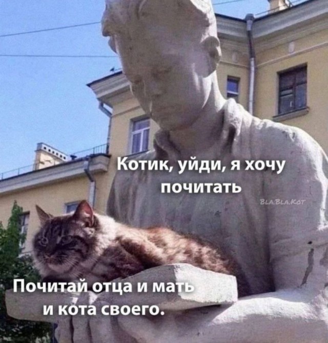 Школа джедаев. Начало