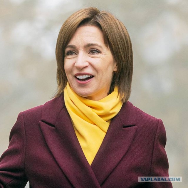 Надо было правильно голосовать.