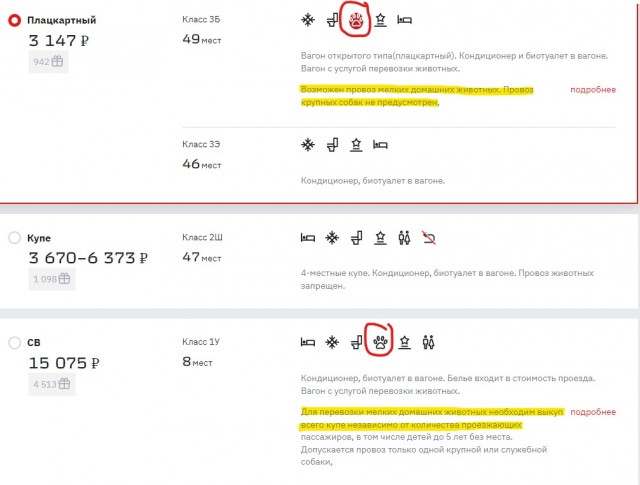 Проводник, не высадившая больного кота, временно отстранена от работы