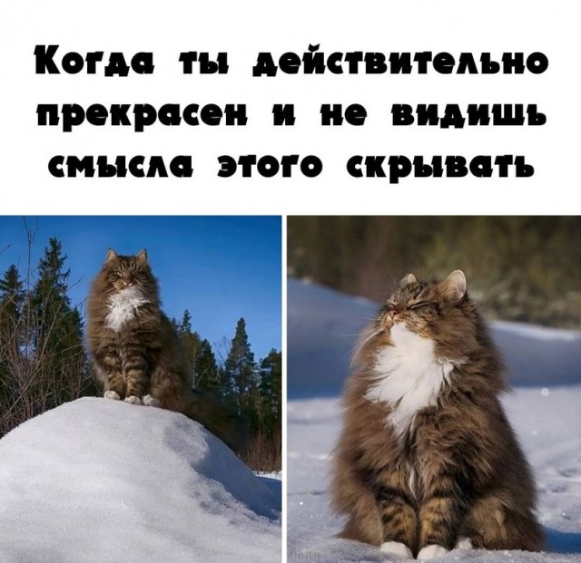 Тлидцать тли от 19 февлаля
