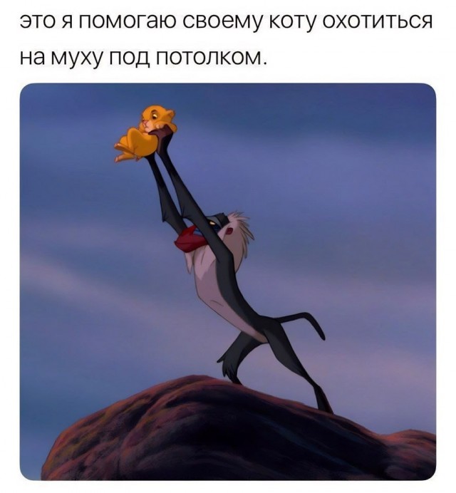 Доставка баянов