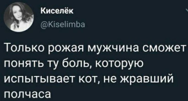 Деградильня