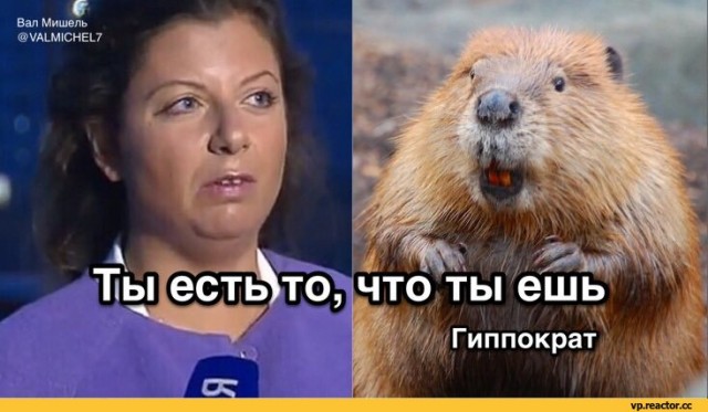 Кто уже пробовал, признавайтесь