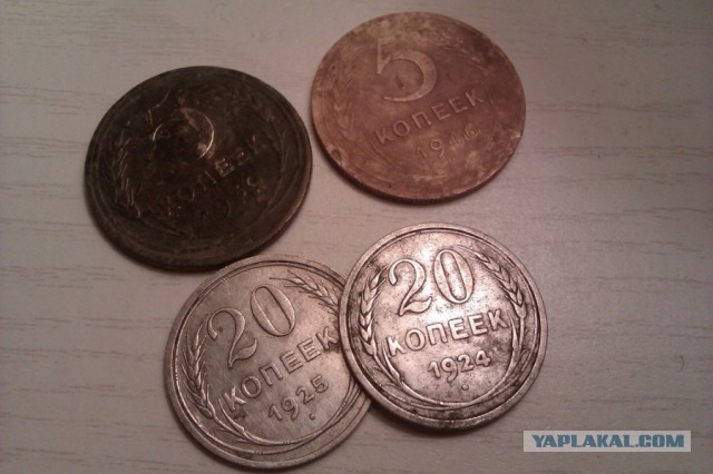 Находки в обычном парке