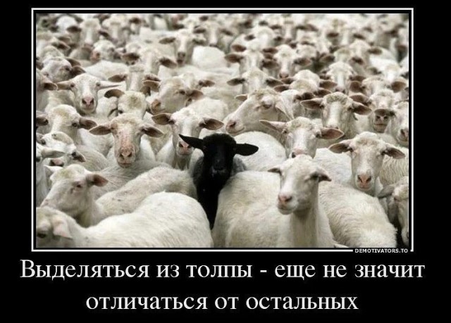 А что, вы водку брать не будете?