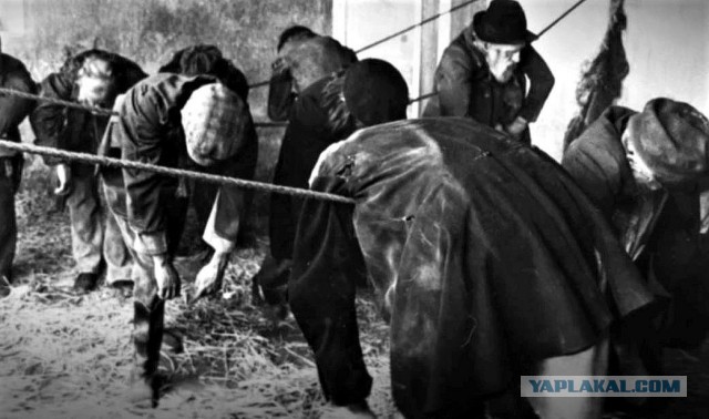 Квартиру площадью в один квадратный метр разработала столичная архитектурная студия