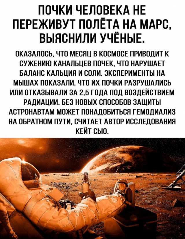 Всего понемногу. От 21.06.2024
