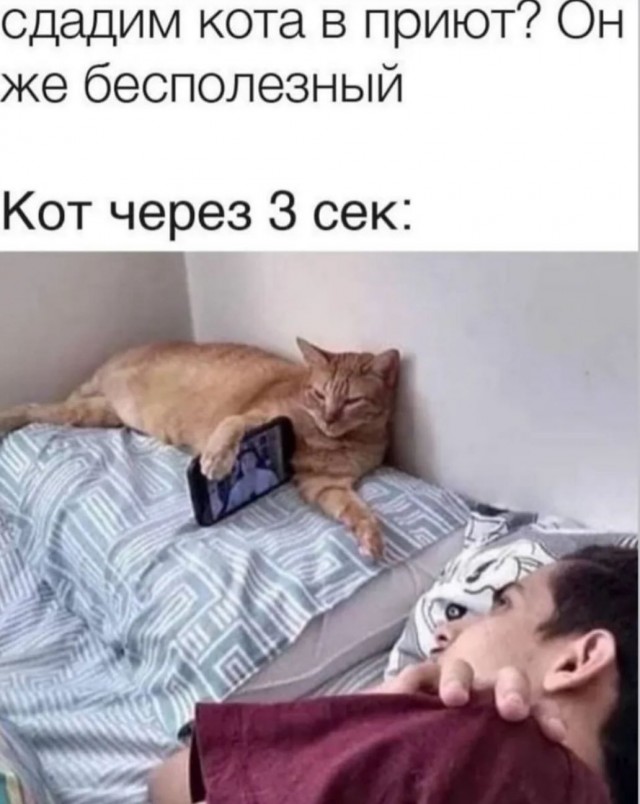 Завалялось тут случайно немного забавных картинок