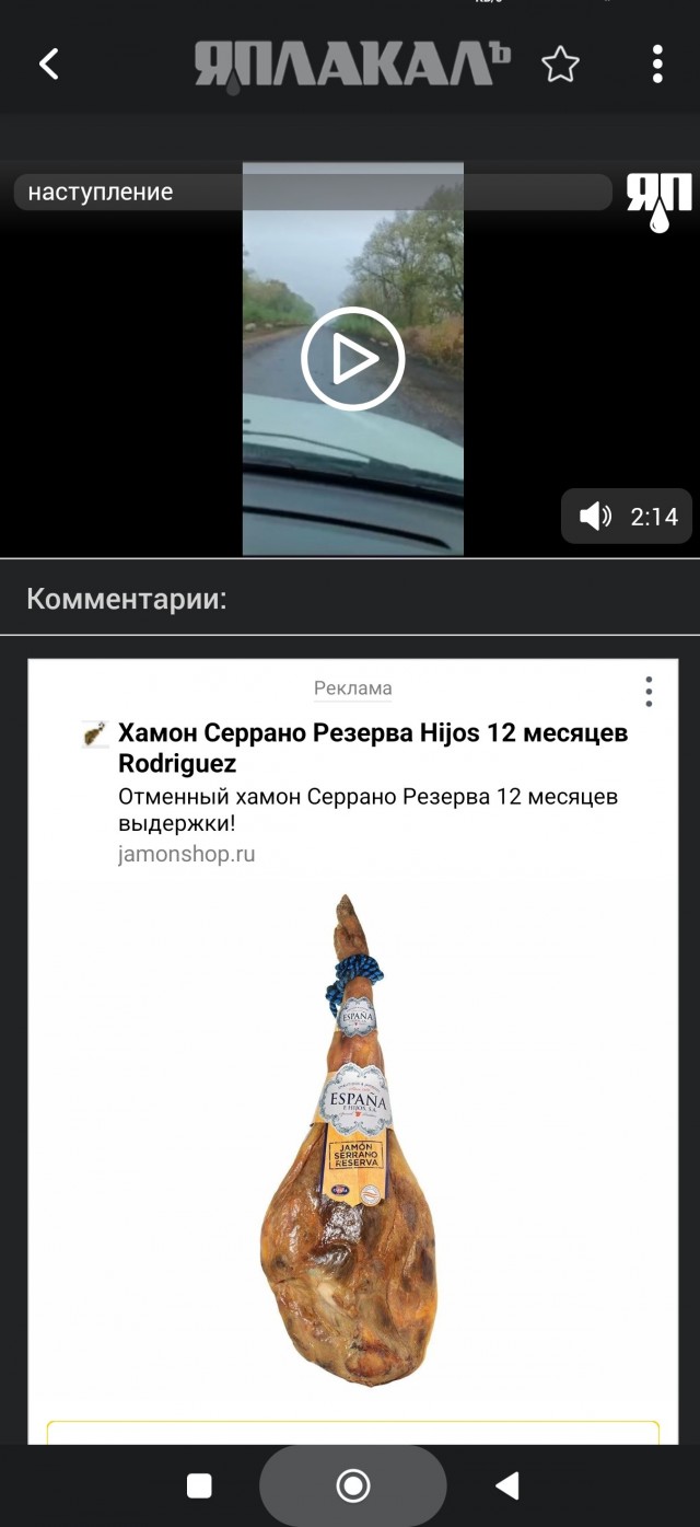 Наступление в Курской области