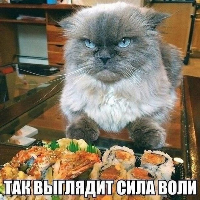 Нуштош 25.12.2024