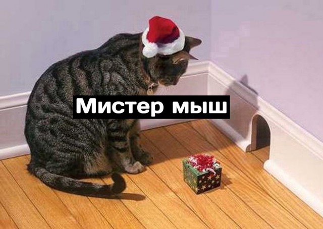 Так себе картинки 16.01.25