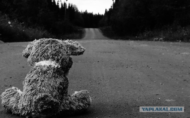 Просто картинки