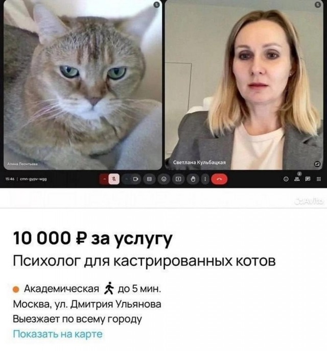 Иллюстрации
