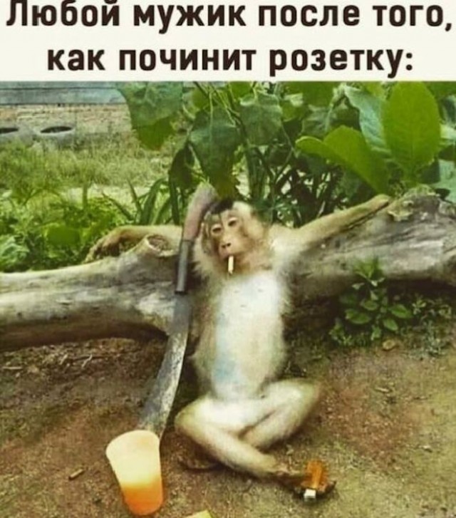Веселые картинки в пятницу (15.08)
