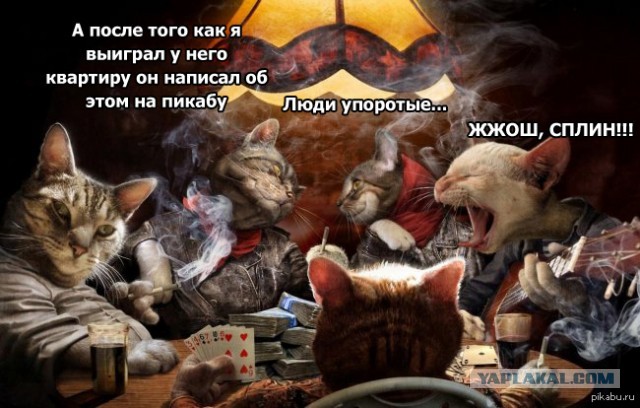 Ну-ка, руку опустил!