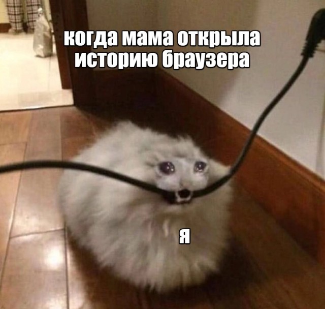 Пятничные картинки