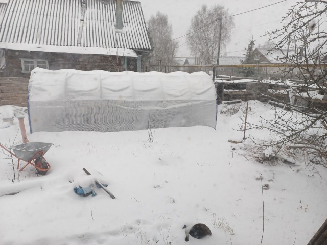 Шел 140й день зимы...
