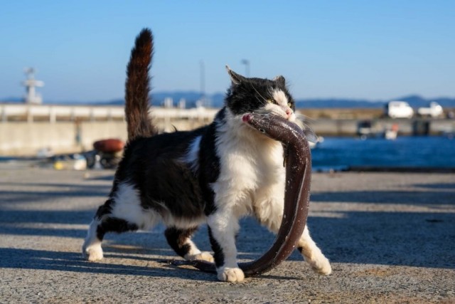 Картинки на 30.04.2026