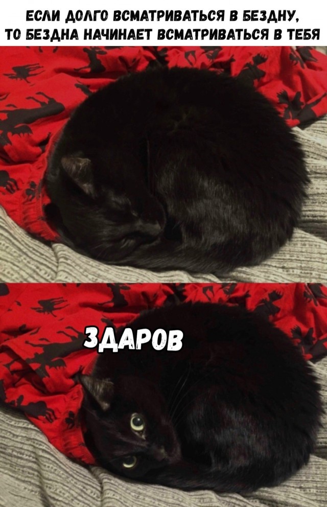 Если всматриваться в тьму...