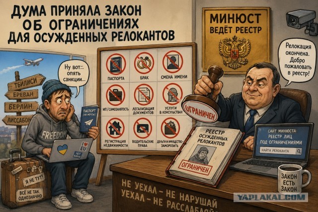 Дума приняла закон об ограничениях для осужденных релокантов
